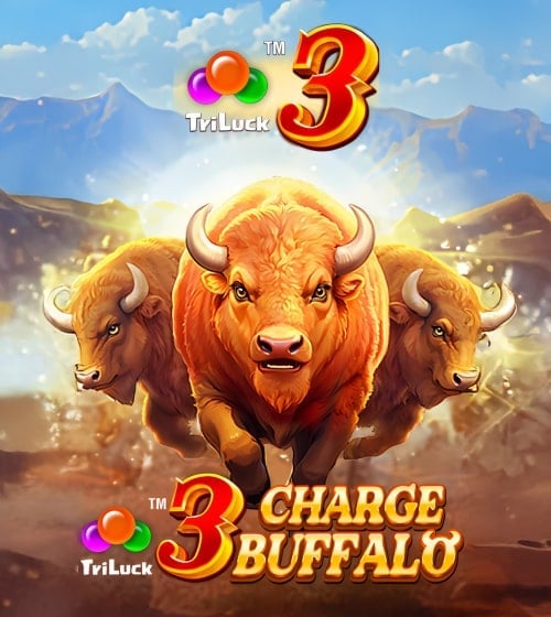 3 Charge Buffalo
